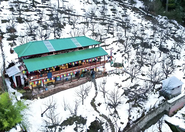 C6Manali Hostel